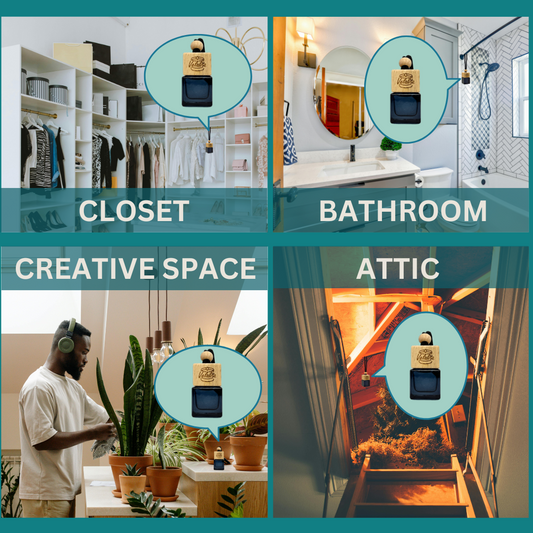 Coconut Sandalwood Car Diffuser