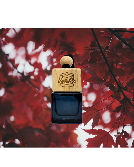 Burgundy Car Diffuser