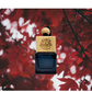 Burgundy Car Diffuser